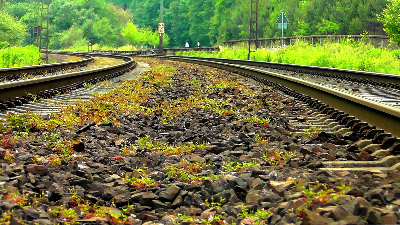 Park Asistanı Sistemleri ile Paralel Park Hızlı ve Hassas Manevralar