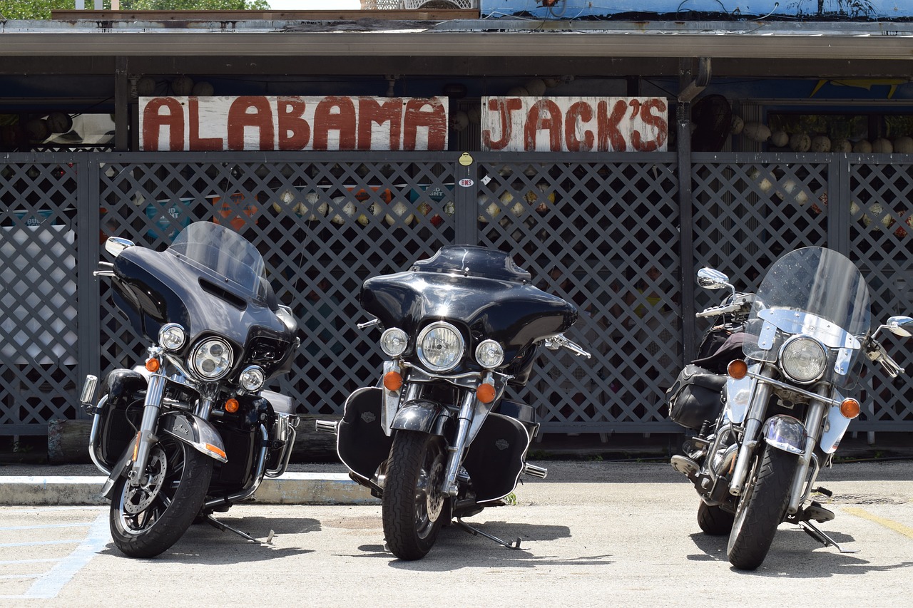 Cruising Motosikletlerde Ünlü Motosikletçilerin Hikayeleri ve İzlenimleri