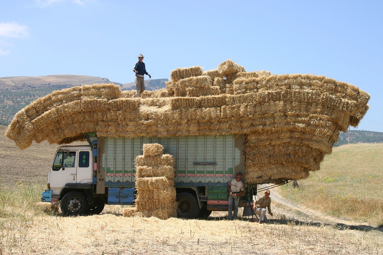 Off-Road Araçlar İçin Jant ve Lastik Modifikasyonu İpuçları